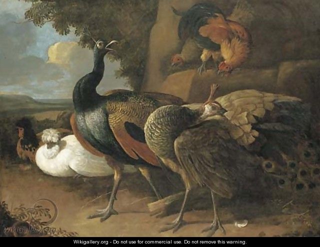 A peacock, a peahen, poultry and other birds in a rocky landscape - (attr. to) Hondecoeter, Melchior de