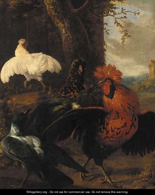 A cockerel, a raven and chickens in a clearing - (attr. to) Hondecoeter, Melchior de