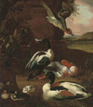 Wooded river landscape with muscovy ducks in the foreground - (attr. to) Hondecoeter, Melchior de