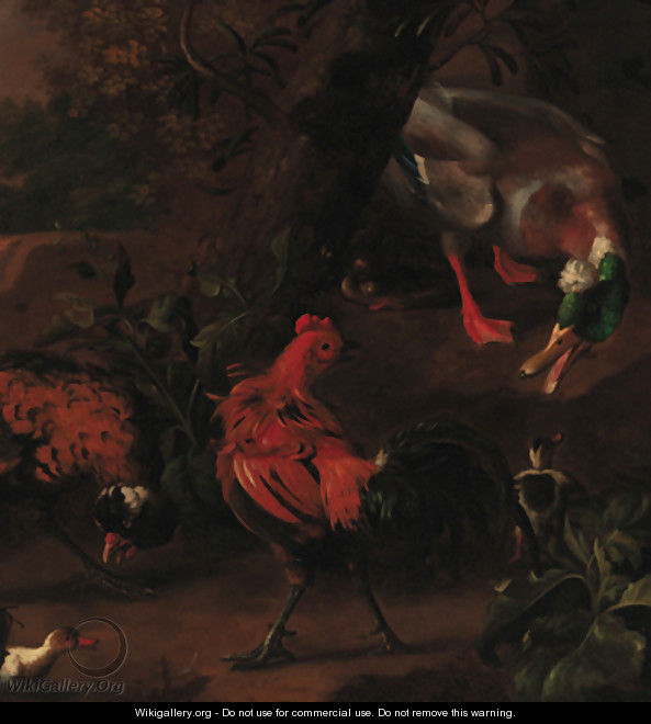 A mallard, two cockerels and ducklings in a landscape - (attr. to) Hondecoeter, Melchior de