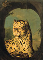 An ocelot - (after) Huet, Jean-Baptiste