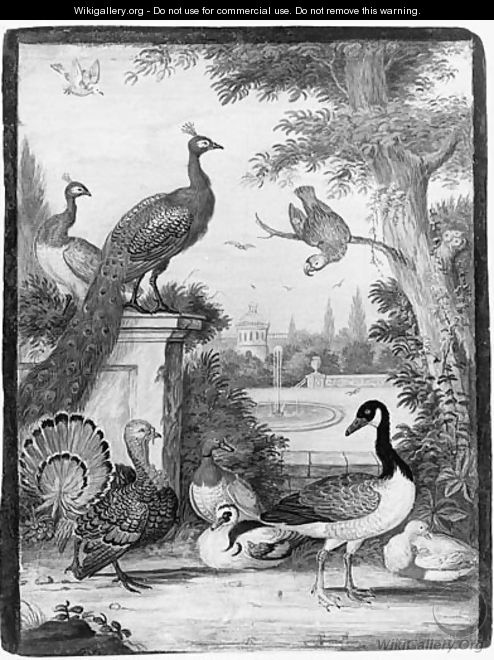 Peacocks, a Parrot, a Goose, a Turkey, Ducks and another Bird in a palatial Garden - (after) Johannes Bronkhorst