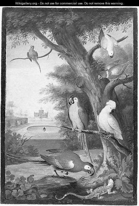 Parrots and a Lizard in a palatial Garden - (after) Johannes Bronkhorst