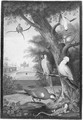 Parrots and a Lizard in a palatial Garden - (after) Johannes Bronkhorst
