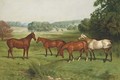 Four hunters in a parkland landscape with fallow deer beyond - Basil J. Nightingale