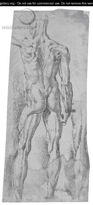 An ecorche nude seen from behind, with a subsidiary study of the right leg - Bartolomeo Passarotti