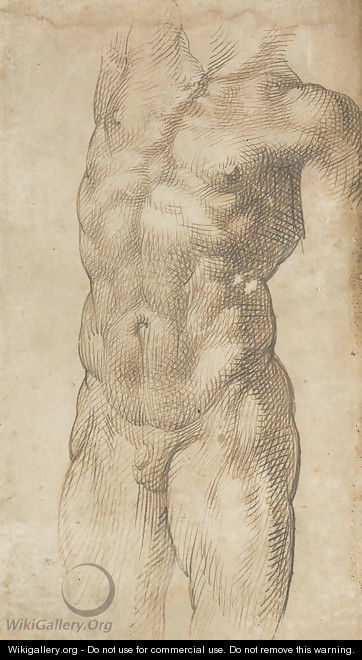 A nude male torso - Bartolomeo Passarotti
