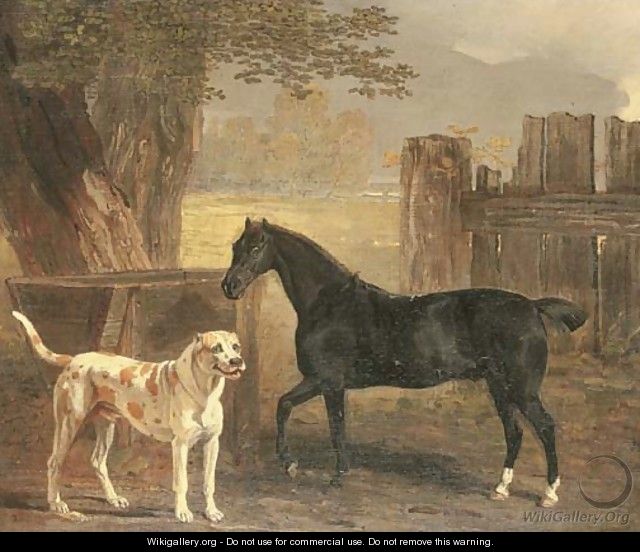 Sancho, a bay pony, with Cato - Ben Marshall