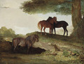 Ponies A shetland pony, and two welsh ponies beneath a tree, in a landscape - Ben Marshall