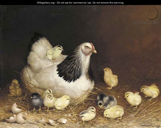 Hen and Chicks in the Hay - Ben Austrian