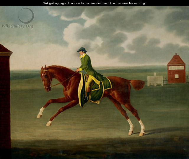 A Chestnut Racehorse with Jockey Up on Newmarket Heath - Benjamin Killingbeck