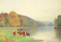 Cattle watering at the edge of a lake - Benjamin D. Sigmund