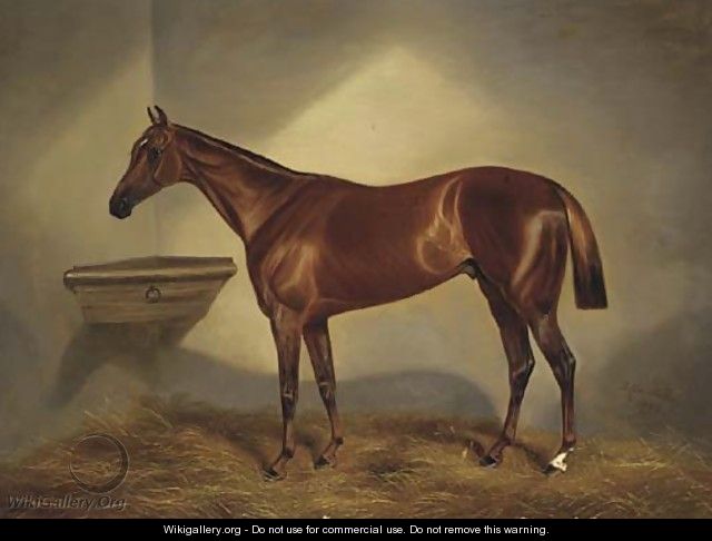 A chestnut racehorse in a stable - Benjamin Cam Norton