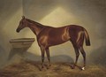 A chestnut racehorse in a stable - Benjamin Cam Norton