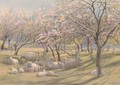 Sheep resting in the shade of an apple orchard - Augustus Watford Weedon