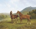 Horses in a valley - Augustus Knip