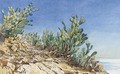 Prickly pears at Taormina - Augustus John Cuthbert Hare