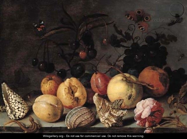 Fruit and shells, with butterflies, a dragonfly, a lizard, a snail and a fly on a stone ledge - Balthasar Van Der Ast