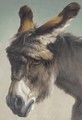 The forlorn donkey - (after) Rosa Bonheur