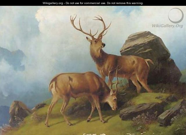 Stags on a mountain - (after) Robert Henry Roe