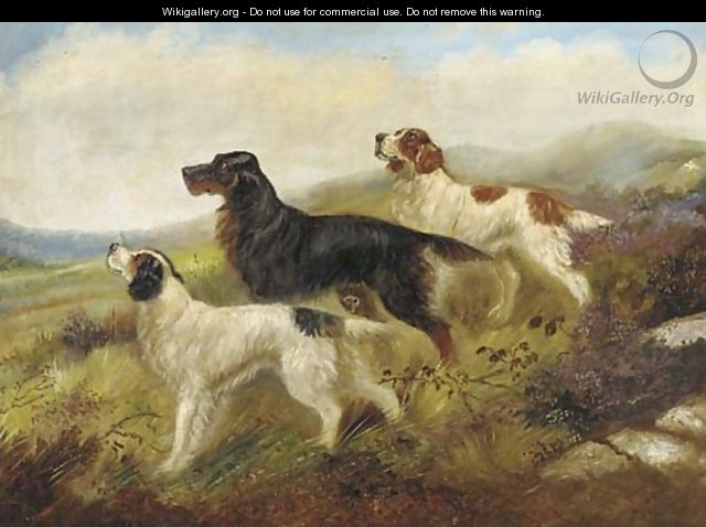Setters on a moor - (after) Robert Cleminson