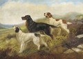 Setters on a moor - (after) Robert Cleminson