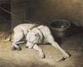 A sleeping dog - (after) Landseer, Sir Edwin
