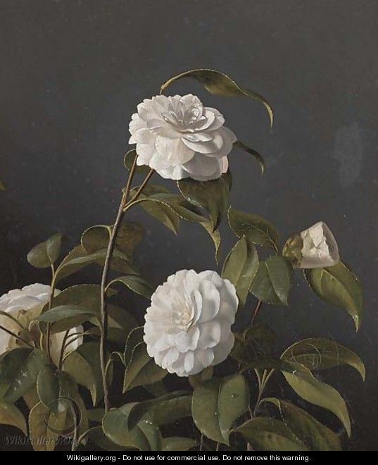 Camellias - (after) Otto Didrik Ottesen