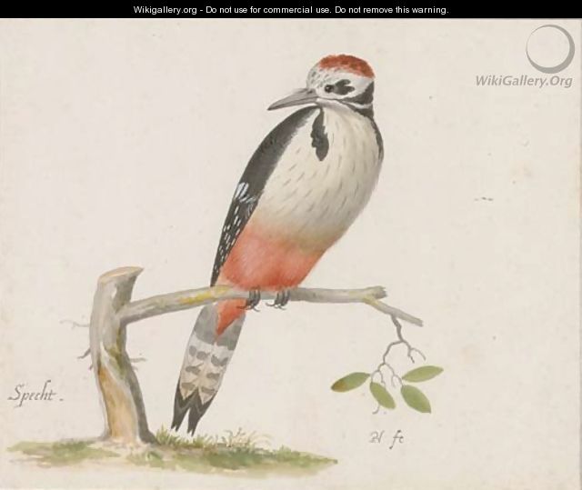 A woodpecker - (after) Pieter The Younger Holsteyn