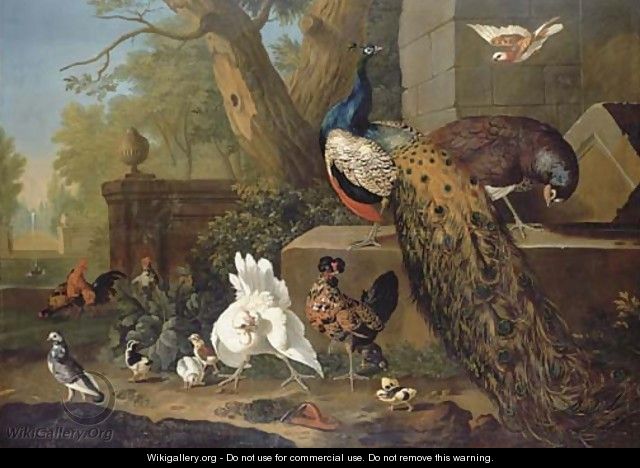 A peacock and peahen - (after) Pieter III Casteels