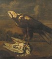A falcon with a dead pigeon - (after) Ferdinand Phillip De Hamilton