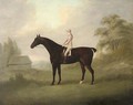 A racehorse with jockey up - (after) John Nost Sartorius