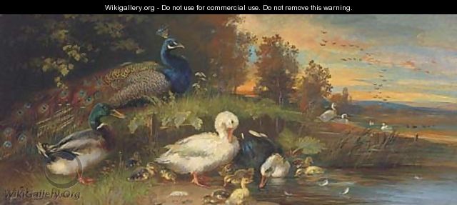Ducks and a peackock at a lakeside - (after) Julius Scheurer