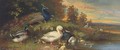 Ducks and a peackock at a lakeside - (after) Julius Scheurer