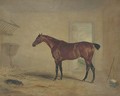 A bay hunter in a stable - (after) John Snr Ferneley