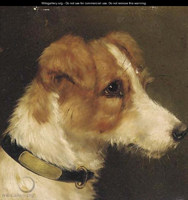 The head of a terrier - (after) John Arnold Wheeler