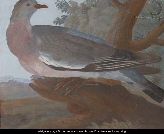 A wood pigeon on a tree stump, an extensive landscape beyond - (after) Johannes Bronkhorst