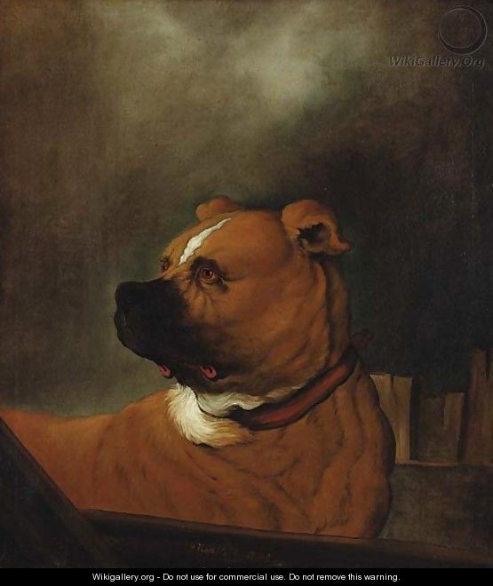 A mastiff standing in a stall - (after) Johann Heinrich Roos