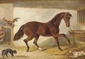 A hunter in a stable - (after) H. S. Cotterill