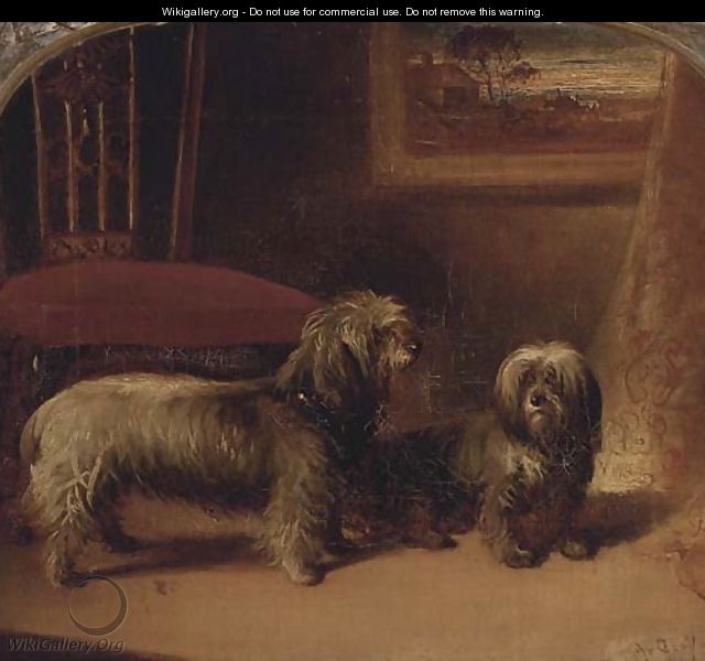 Two dandie dinmont terriers in an interior - (after) Gourlay Steell