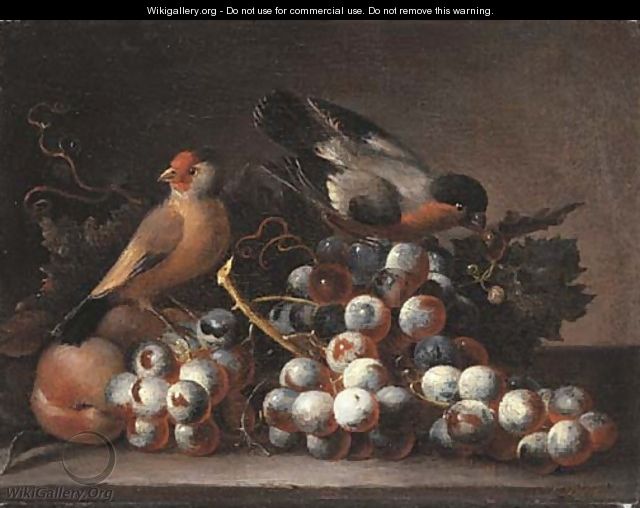 Grapes on the vine and peaches with two finches on a ledge - (after) Jacob Bogdani