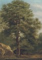 Forest scene - (after) Ivan Shishkin