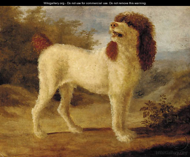 A water spaniel - (after) Jacques Laurent Agasse