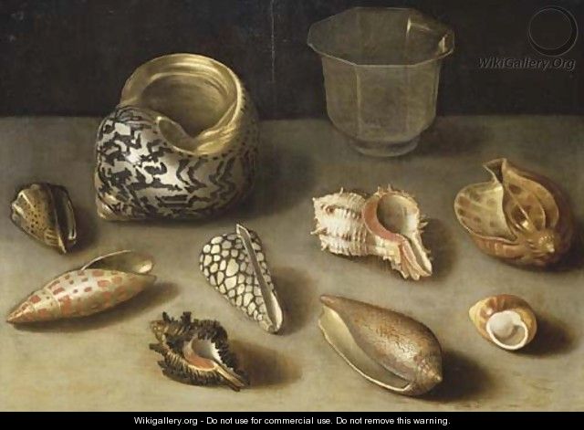 Exotic shells on a table with a glass beaker - (after) Jacques Linard