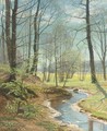 A Stream in the Woods - Christian Zacho