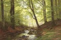A Stream in a Forest - Christian Zacho