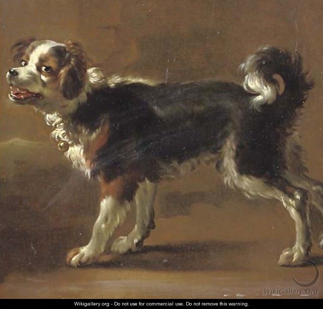 Een Kooikerhond - (after) Adriaen Cornelisz. Beeldemaker