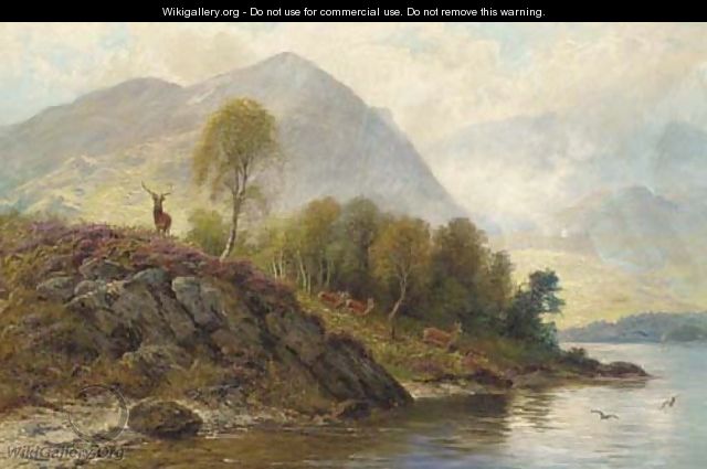 A stag with hinds by a loch - Charles Stuart
