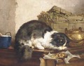 A cat in the kitchen - Charles van den Eycken