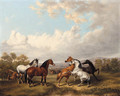 Horses in a Meadow - Charles Towne